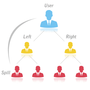 MLM software dashboard